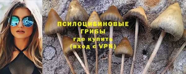 spice Балабаново